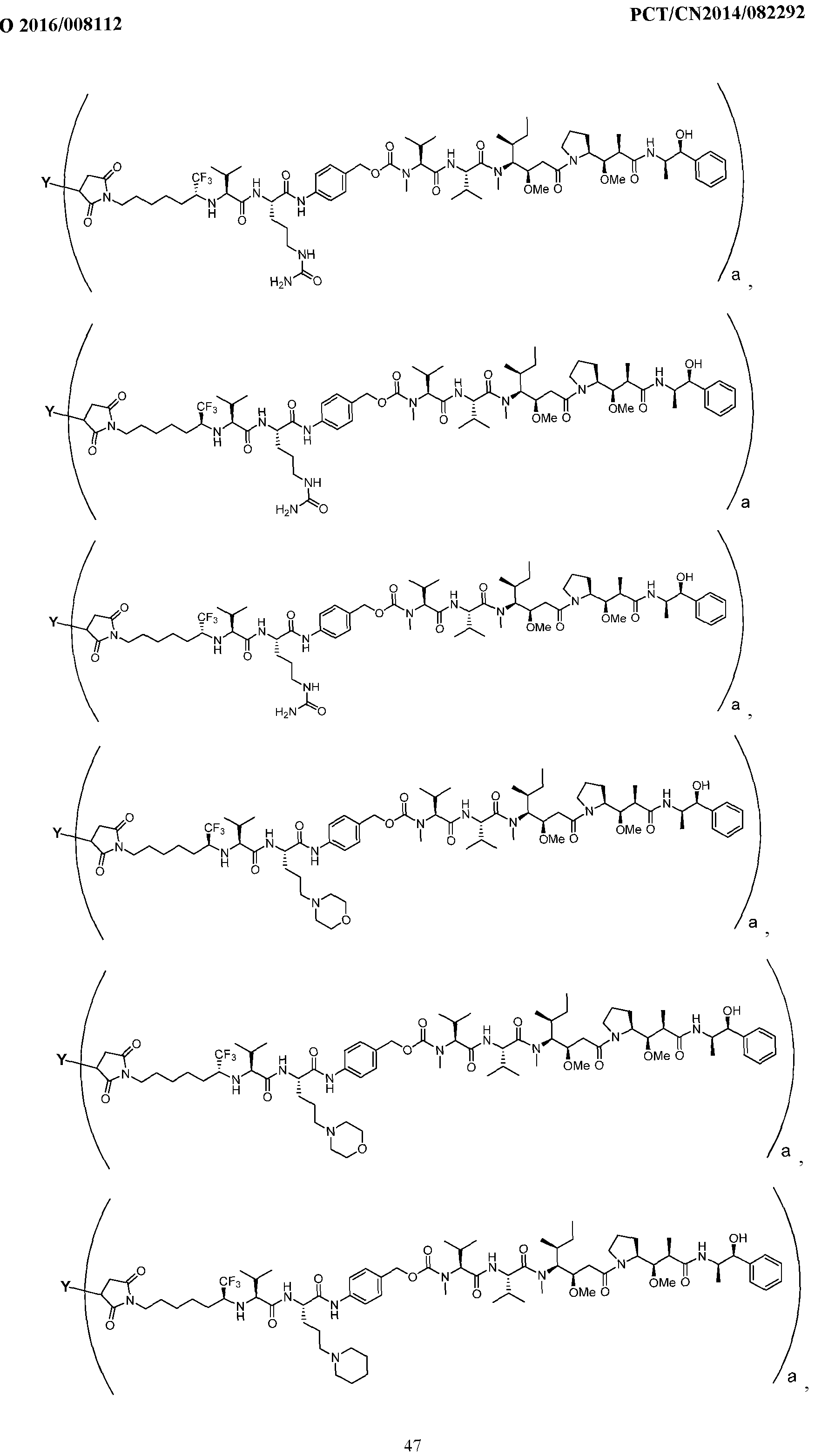 Figure imgf000048_0001