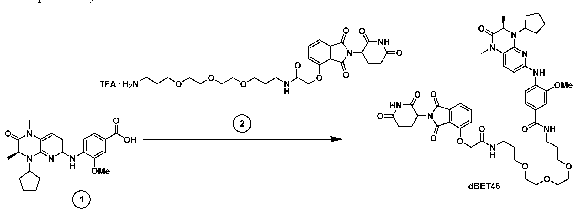 Figure imgf000304_0001
