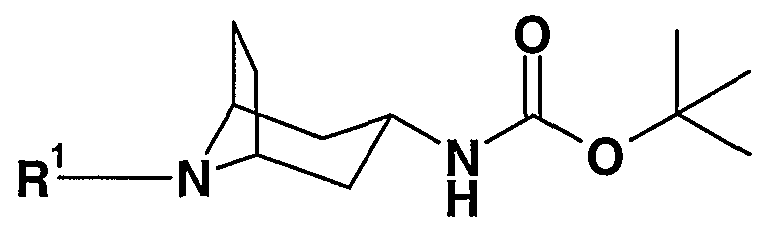 Figure imgf000031_0001