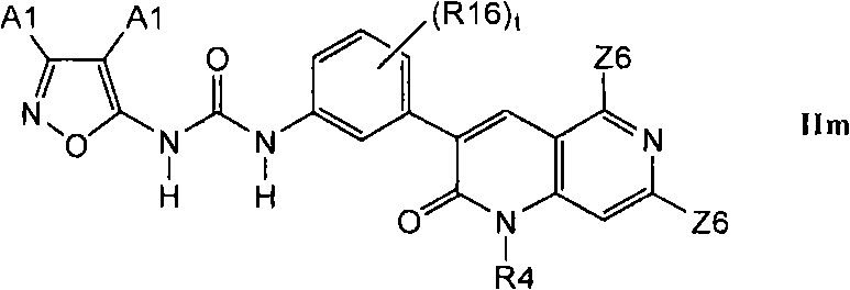Figure A2007800422810024C1