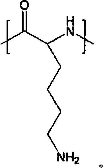 Figure FPA00001138206300041