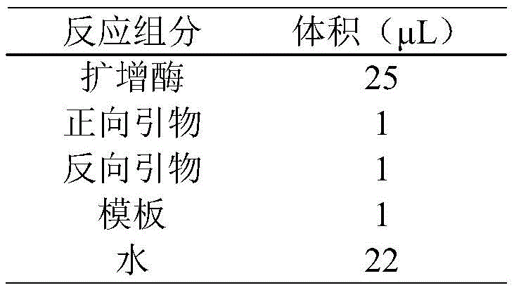 Figure BDA0002677199810000051