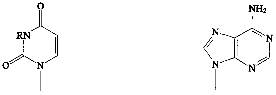 Figure imgf000005_0001