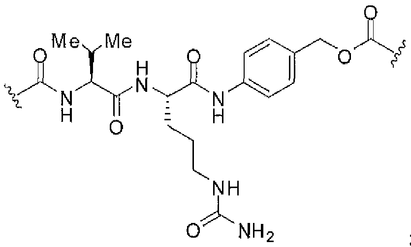 Figure imgf000009_0002