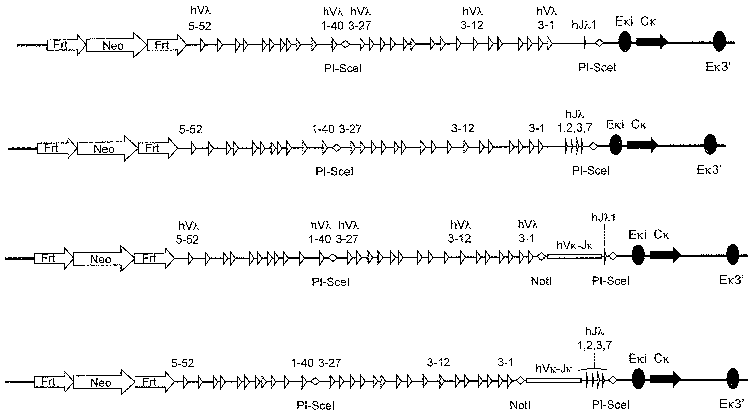 Figure R1020137001582