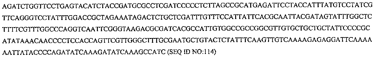 Figure 112006065182923-pct00025