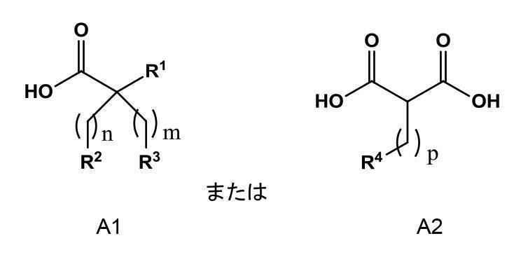 Figure 2022095757000223