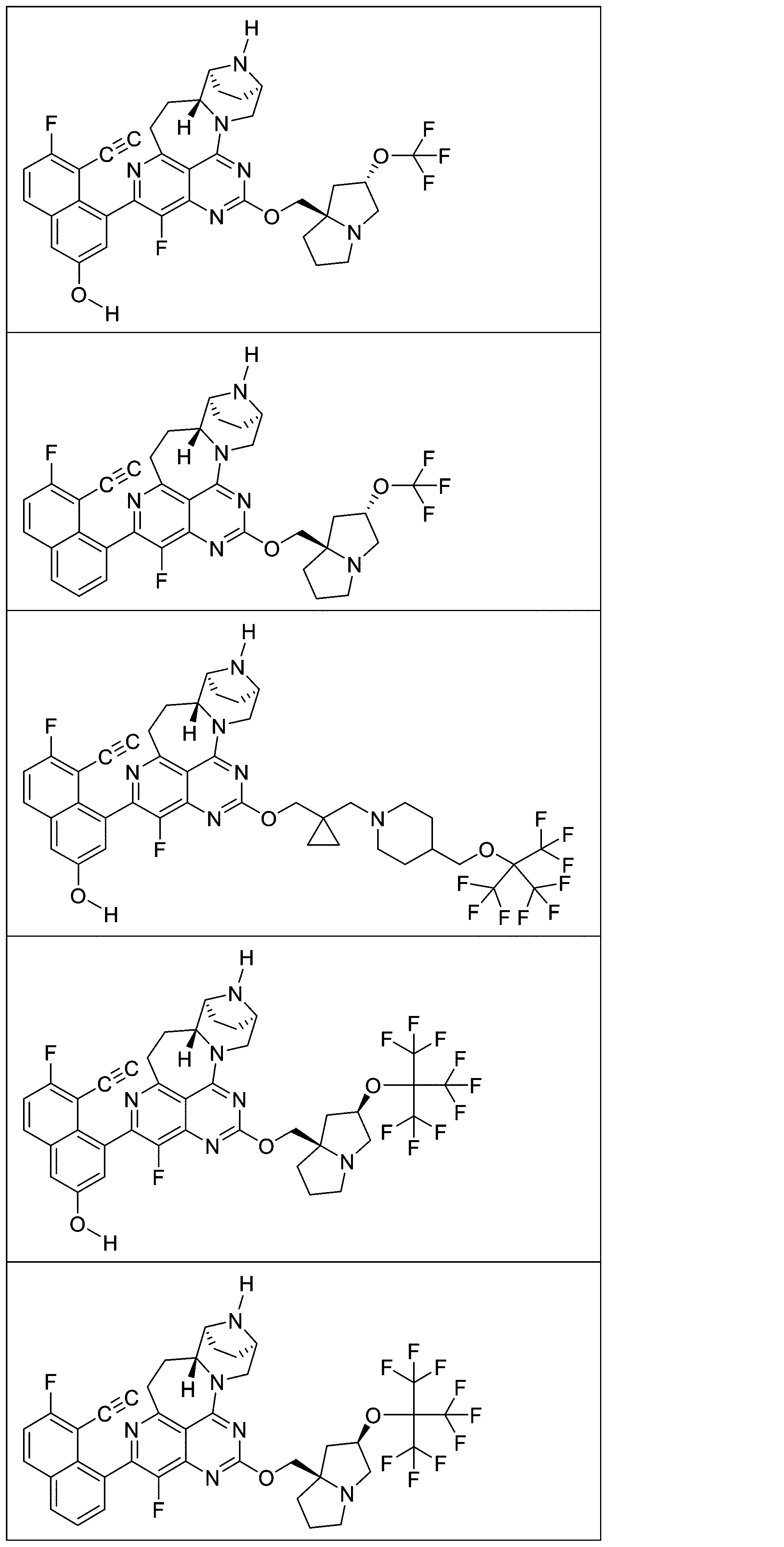 Figure 2025513258000102