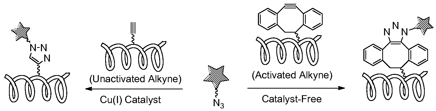 Figure imgf000002_0001