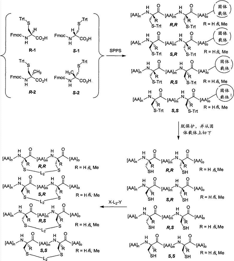Figure BPA00001545839400471