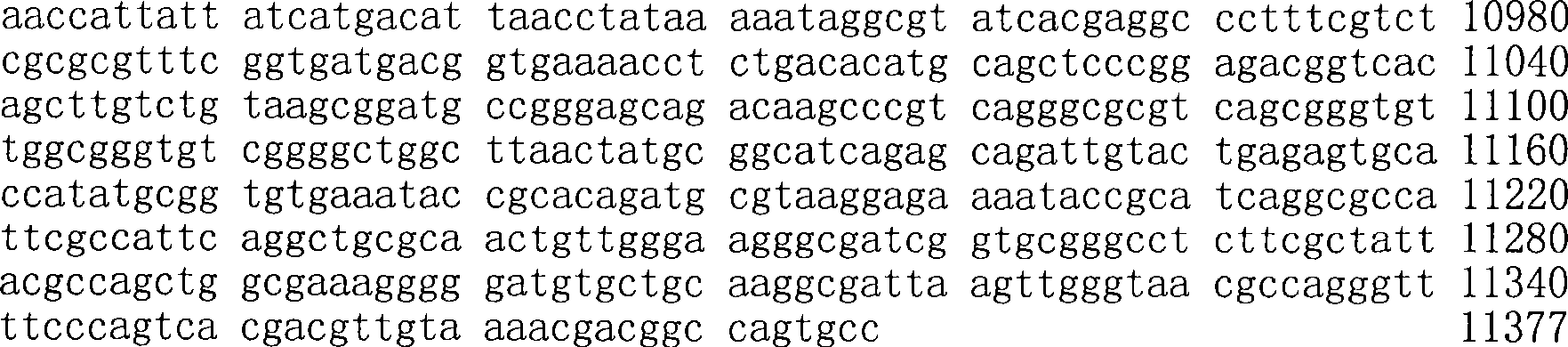 Figure A200780009494D01641