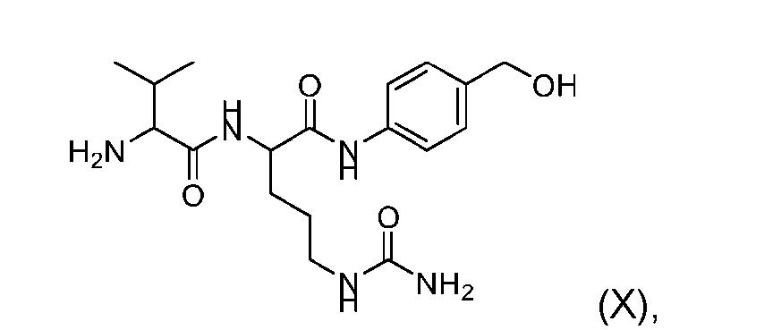 Figure imgf000313_0001