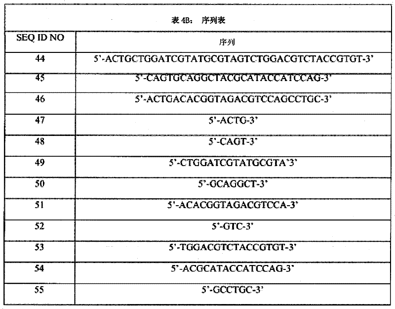 Figure BPA00001342885900371