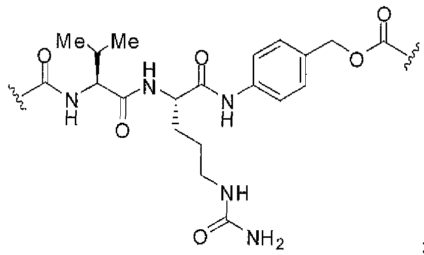 Figure imgf000095_0001