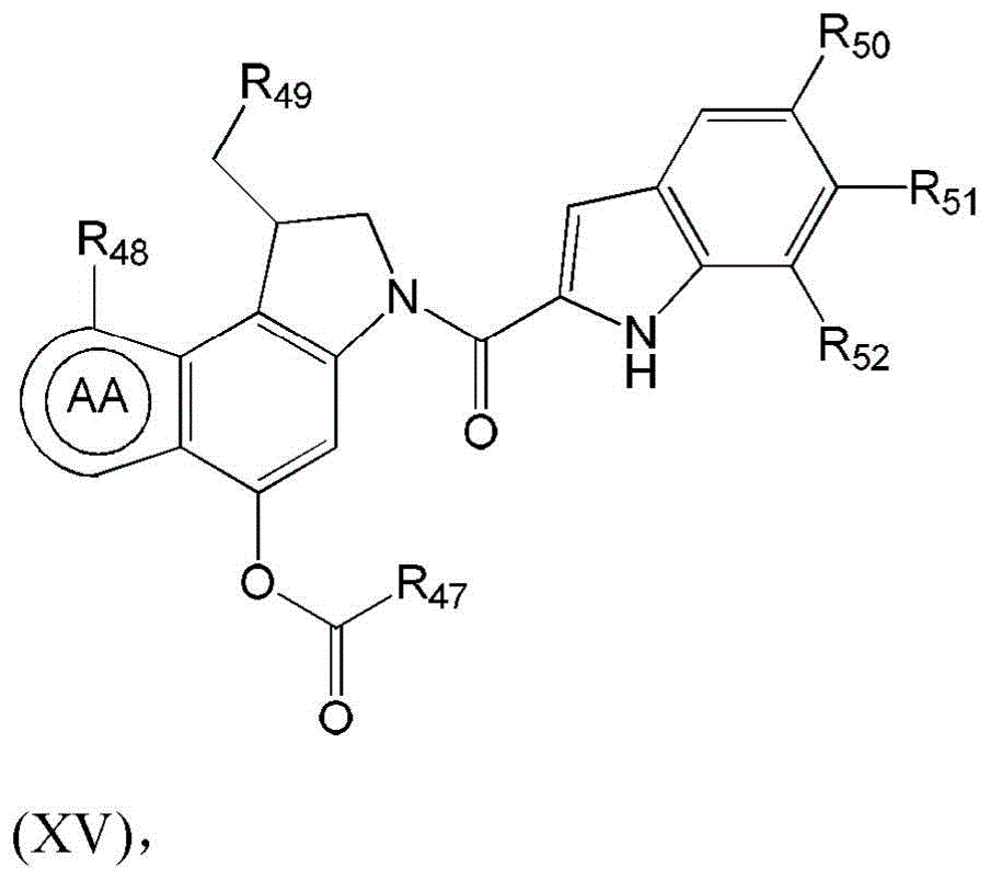Figure BDA0003135424430001291