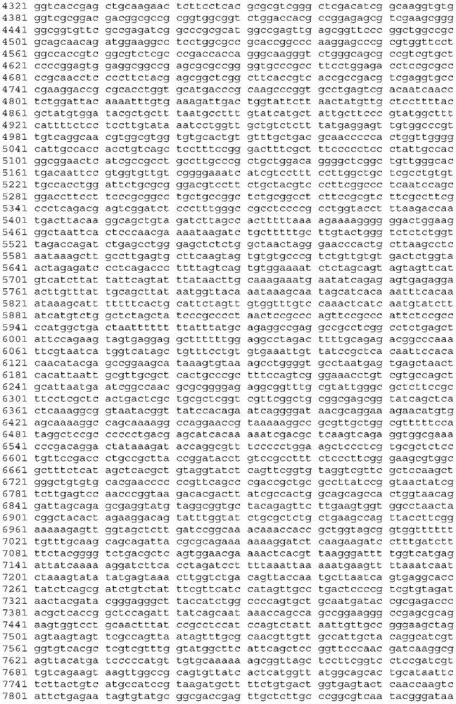 Figure BDA0003465582640001161