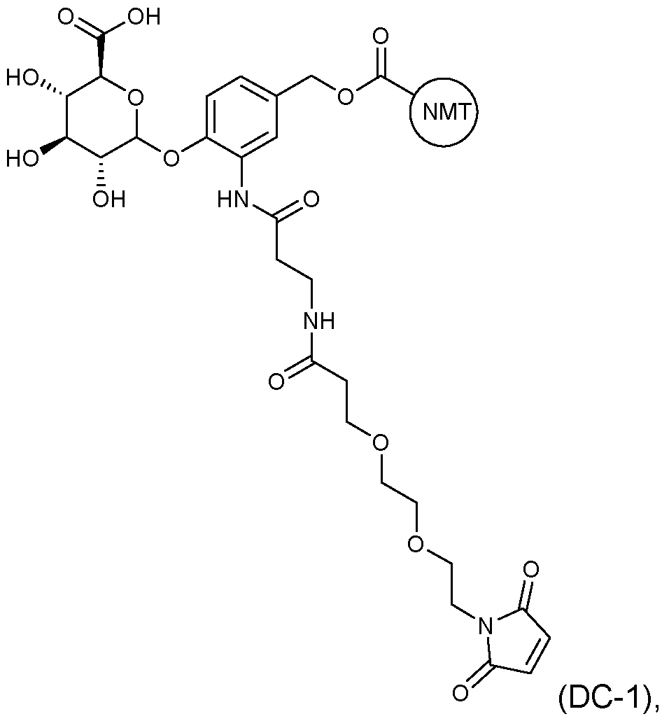 Figure imgf000035_0002
