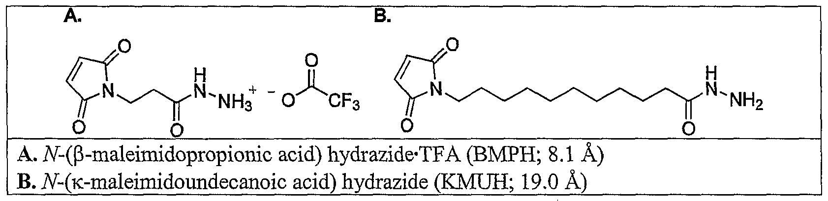 Figure imgf000042_0001