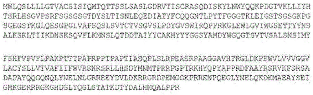 Figure BDA0001663560350000334