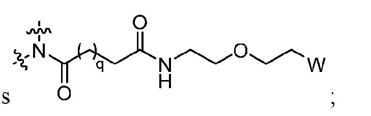 Figure imgf000004_0005