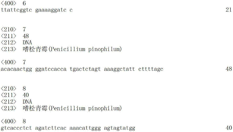 Figure IDA00001696902500041