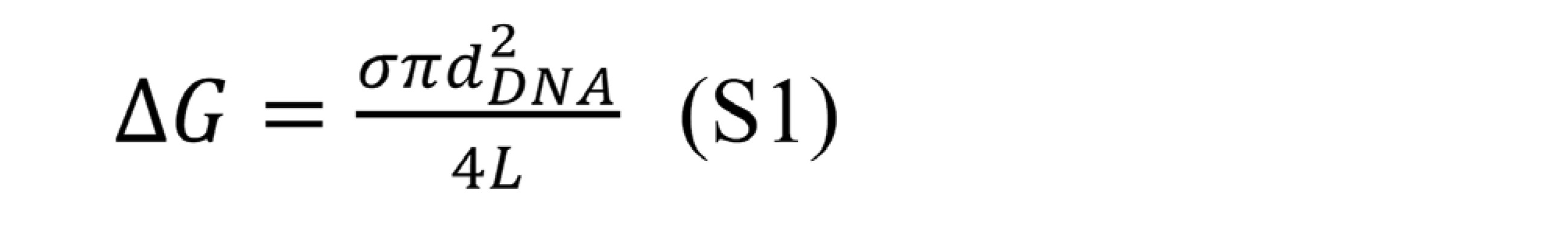 Figure 2022058772000033