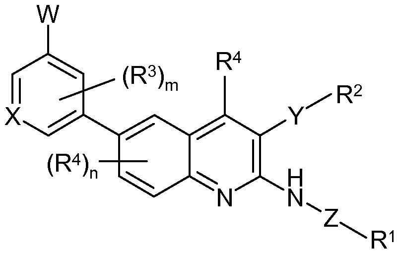 Figure imgf000004_0001