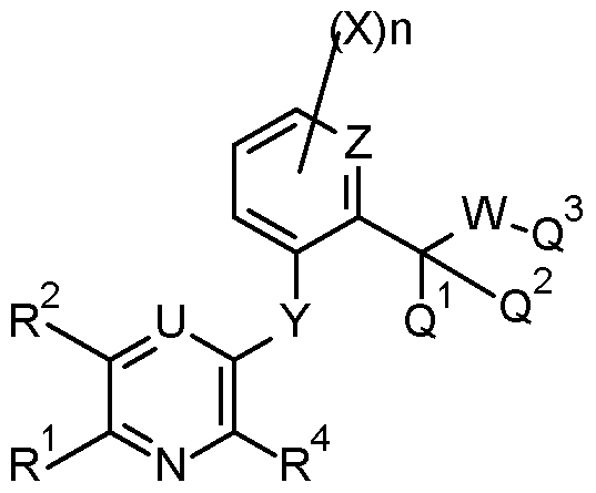 Figure imgf000010_0001