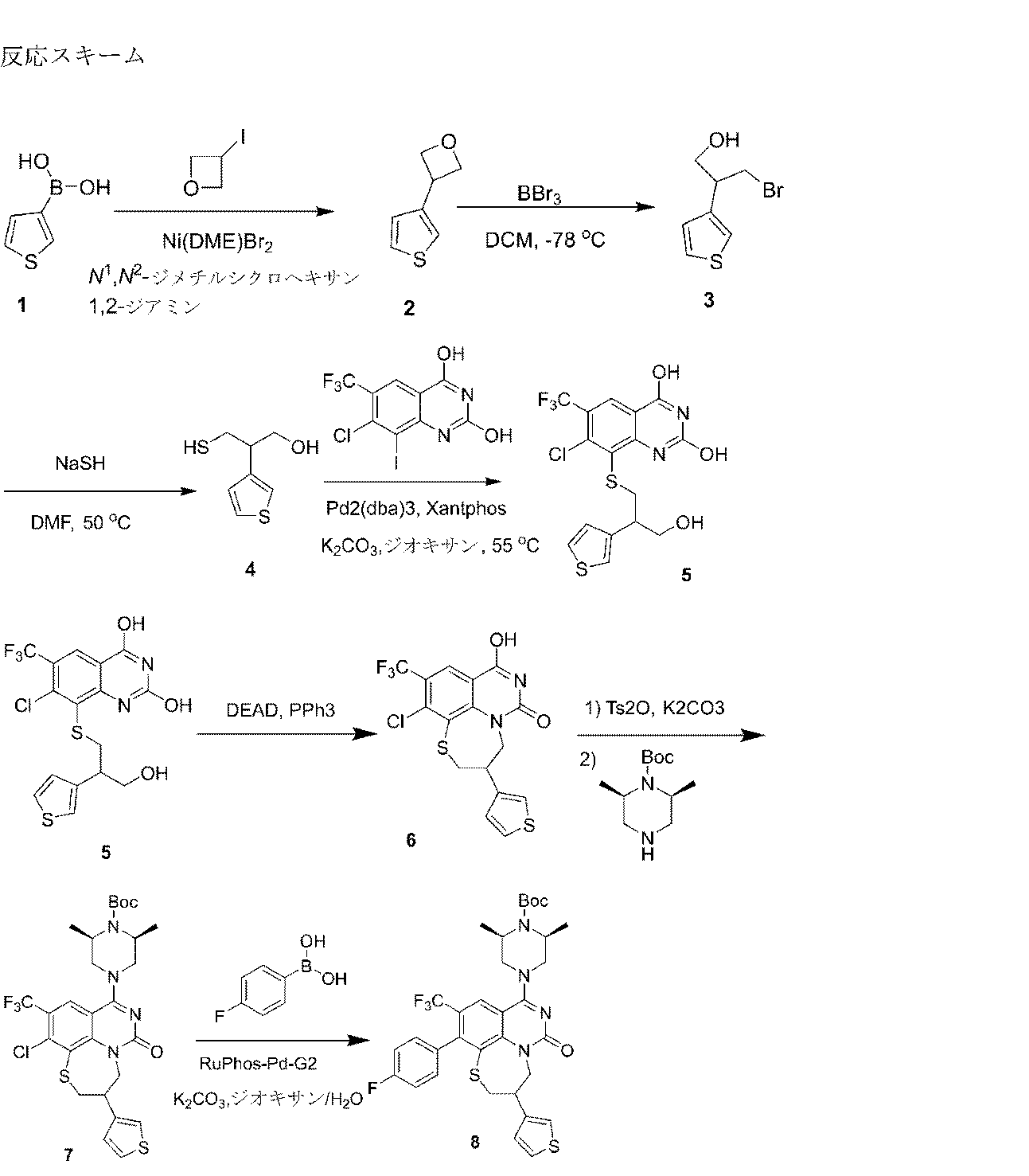 Figure 2025514185000075