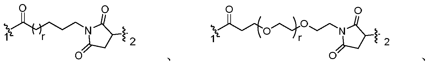 Figure PCTCN2019073148-appb-000012