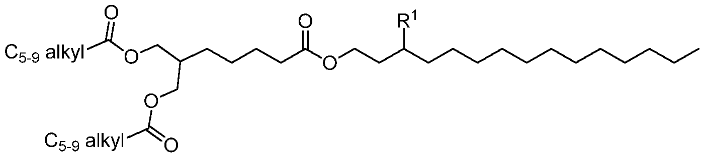 Figure imgf000024_0002