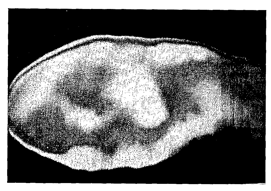 Figure 112008015626710-pct00003