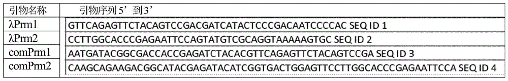 Figure BDA0002357574680000592