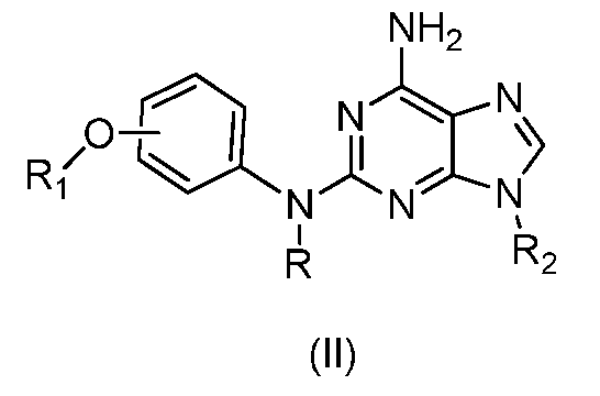 Figure imgf000009_0002
