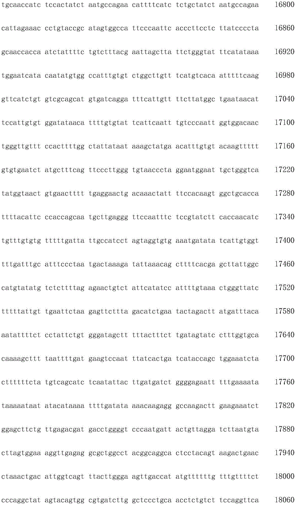 Figure IDA0003936212790001141