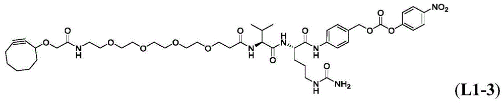 Figure BDA0003817518590000991