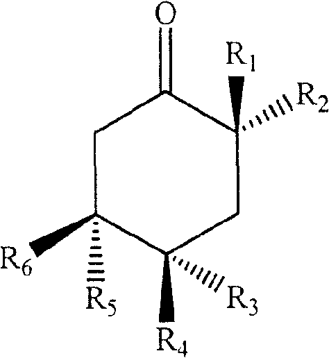 Figure C20051007480500071