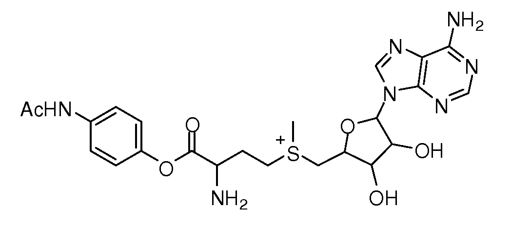 Figure 112016012210951-pct00085