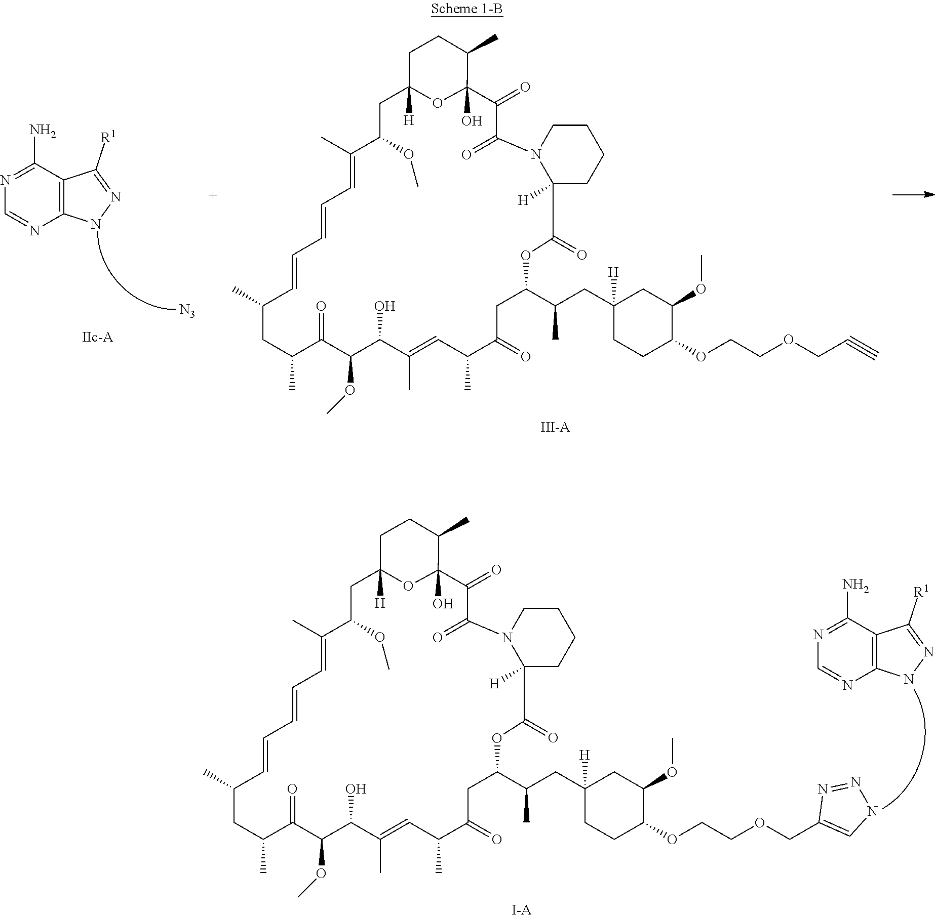 Figure US11452780-20220927-C00043