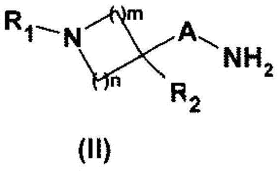 Figure FDA0000362553800000101