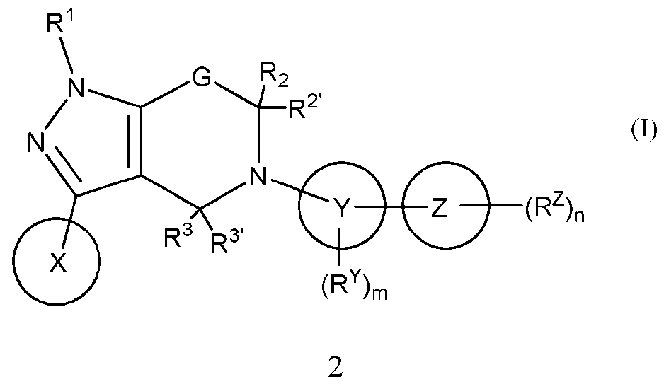 Figure imgf000003_0001