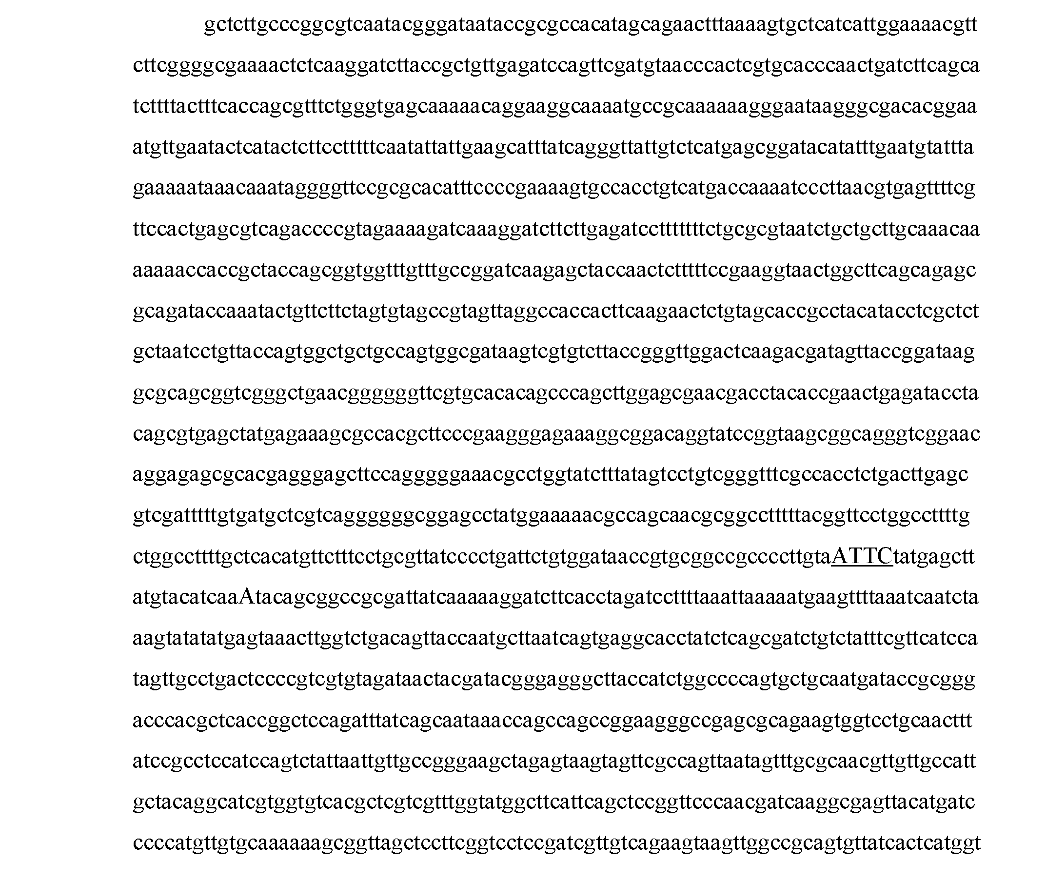 Figure DE212020000516U1_0005