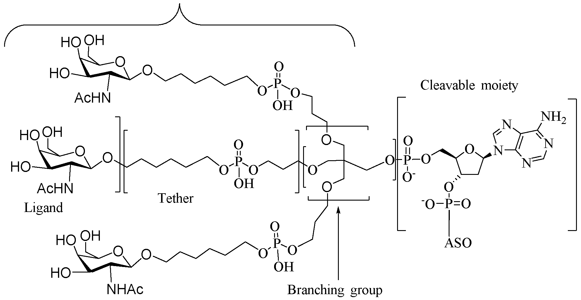 Figure imgf000066_0001