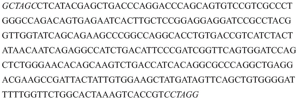 Figure GDA0003152722340000903