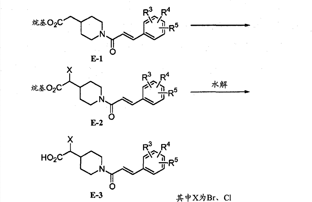 Figure BPA00001325031100211