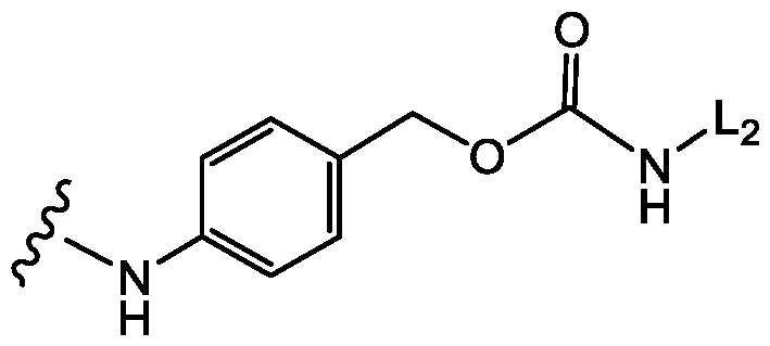Figure imgf000171_0001