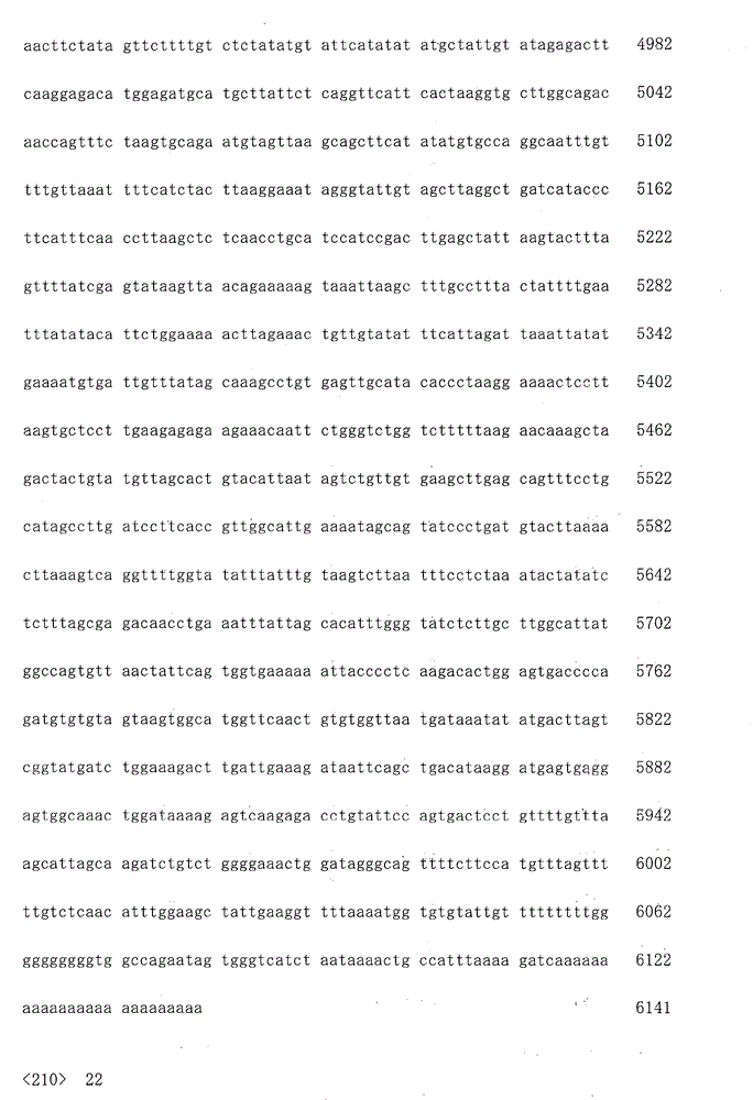 Figure IDA0000046353120001031