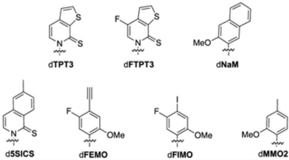 Figure FDA0002646587650000081