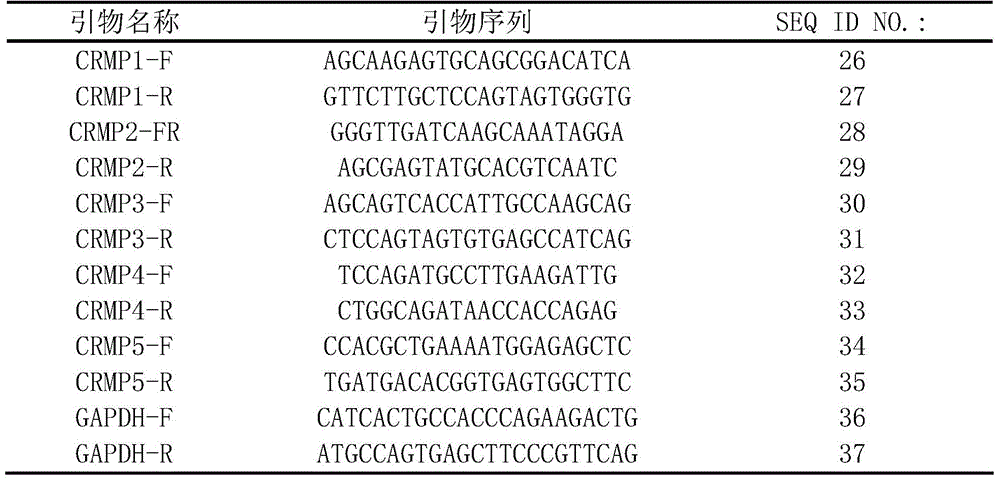 Figure BDA0000383635980000112