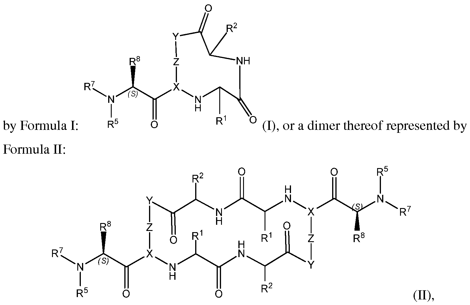 Figure imgf000004_0001